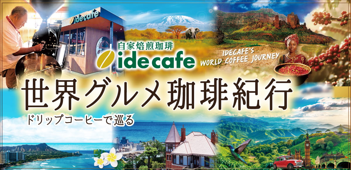 ドリップバッグで巡る、本格自家焙煎コーヒー