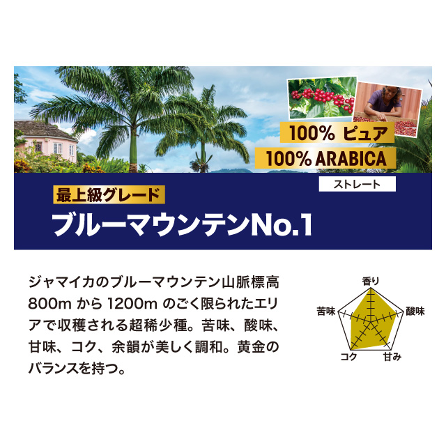 説明画像_ブルーマウンテンno1